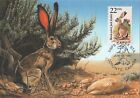 Jackrabbit Bunny Fauna World Wildlife Canada USA Mint Kansas Maxi Card FDC 1987