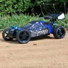 Redcat Racing Tornado EPX PRO 1/10 Scale Brushless Electric Buggy