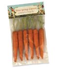 Bethany Lowe Easter Mini Carrot Ornaments Set of 6