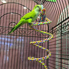Bird Cockatiel Chew Climbing Ropes Budgie Bell Perch Coil Swing Cage Toy NEW