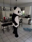 Full panda costume with solid foam head (Large) Used - Good condition, large fit