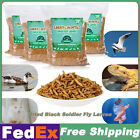 Bulk Dried Black Soldier Fly Larvae BSF Food for Chickens Wild Birds Turtles Lot