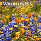 Browntrout,  Wildflowers  2024 Wall Calendar