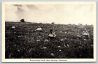 Postcard Rush Springs OK Oklahoma Watermelon Capitol Patch Pickers c1940s AT1
