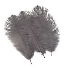 10pcs Natural Ostrich Feathers Plumes 14-16inch35-40cm for Craft Flower Arran...
