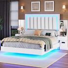 LED Floating Bed Frame with Tall Headboard Upholstered Platform Bed Queen Size