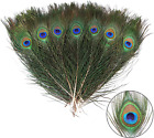 12Pcs Peacock Feather Natural in Bulk 10-12 Inch 25-30Cm for Vase Craft Vase Wed