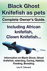 Black Ghost Knifefish as Pets, Incuding African Knifefish, Clown Knifefish...-,