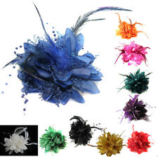 Flower Feather Bead Corsage Hair Clips Fascinator Hairband and Pin