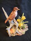 Andrea by Sadek Veery Thrush Bird Porcelain  Bird Figurine 9776