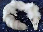 Snowglow (White) Ranch Fox Pelt