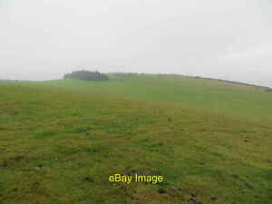 Photo 12x8 Pasture field at North Sutor Nigg Ferry Looking eastward. c2021