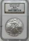 2008-W $1 Burnished American Silver Eagle Reverse of 2007 NGC MS70 Brown Label
