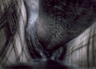 HR Giger Alien Prometheus Erotomechanics VI Silkscreen 1980 very rare!