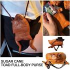 Sugar Cane Toad-Full-Body Purse, Coin Pouch Made From Taxidermy Cane-Toad