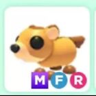 💗SALE! CHEAP PETS!! ADOPT MFR GROUNDHOG! FAST, TRUSTED DELIVERY!💗