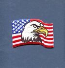 UNITED STATES US FLAG American Eagle Hat Jacket Squadron Patriotic Swag Patch