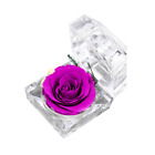 Preserved Flower Real Rose, Eternal Immortal Flowers, Best Gifts for Valentine'S