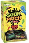 SOUR PATCH KIDS Big Individually Wrapped Soft & Chewy Candy 240 Count