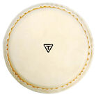 Tycoon Signature Series Replacement Bongo Head 7 inch.