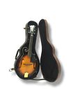 Brand New Durable Hard Case For Mandolin Lockable with Key