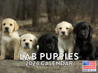 Lab Puppy Cute Puppies 2024 Wall Calendar