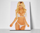 Pamela Anderson Poster or Canvas