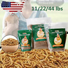 Dried Mealworms Bulk Non-GMO Organic for Wild Blue Bird Food Chickens Hen Treats