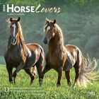 Horse Lovers | 2024 12x24