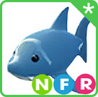 Adopt Your Pet From Me Today! NFR Shark |Fast Delivery Roblox
