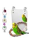 Bird Mirror with Rope for Parakeets Parrot Lovebirds Canaries Cage