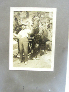 New ListingAntique Cabinet Photo Man with Team of Horses Wagon