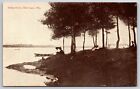 Rice Lake Wisconsin~Waterfront Camp Scene~Ladies by the Shore~c1910 Postcard