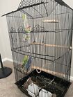 large bird cages for sale
