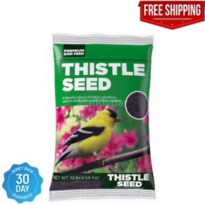 Premium Natural Black Thistle Nyjer Seed Wild Bird Food 10 Lb Bag, Brown,Bird