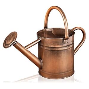 Watering Can - Metal Watering Can With Removable Spout, Perfect Plant Watering C