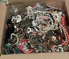Huge 16 LBS 6 oz JEWELRY Lot Estate VINTAGE Necklaces, some miscellaneous