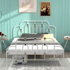 Full Size Bed Frame Heavy Duty Metal Platform with Headboard with Gold Details