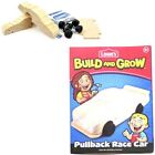Lowes Build & Grow DIY Kids Workshop Wood Building Kit Pull Back Racer Race Car