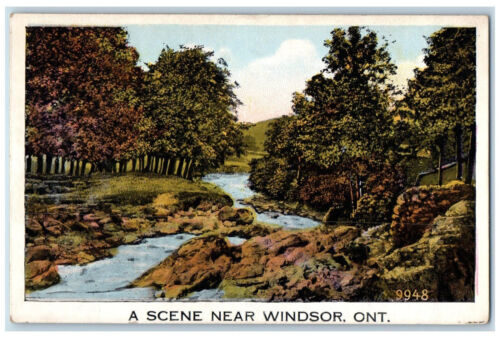 c1920's A Scene Near Windsor Ontario Canada Scening 24 Designs Postcard