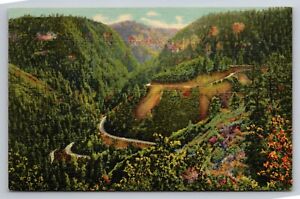 New ListingOak Creek Canyon Near Flagstaff Arizona Vintage Unposted Linen Postcard