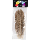Pheasant Quill Feathers 18/Pkg Natural
