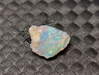 Loose 0.935ct Rough Natural Lightning Ridge Fossil Opal Gemstone Piece