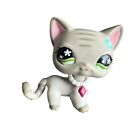 Littlest Pet Shop LPS Shorthair Grey Striped Cat Green Eyes Blue Flower *Flaw!