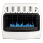 30000 BTU Dual Fuel Blue Flame Vent Free Convection Thermostatic Wall Heater