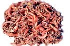 Live Dillies Baby Nightcrawler Worms Fish Pet Food Earthworm & Fishing Bait BULK