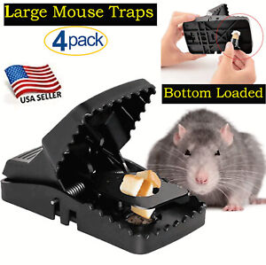 LARGE Mouse Traps Rat Mice Rodent Killer Snap Trap Reusable Heavy Duty Pest Trap