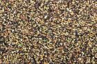 Royal Feeds Canary Song Food Plus - Bird Food / Treat for Canaries (5 lbs)