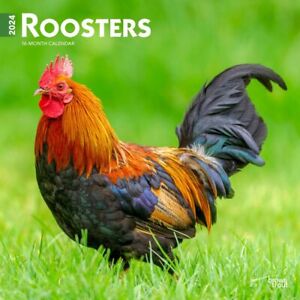 Browntrout,  Roosters  2024 Wall Calendar