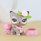 Custom LPS Cat, ooak Wapiti Cat with lps Accessories Who Love LPS For Kids Rare
